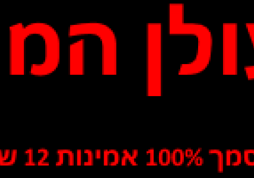 מתי נזדקק למנעולן מוסמך?