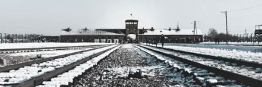השואה הגיעה לאינסטגרם השואה הגיעה לאינסטגרם
