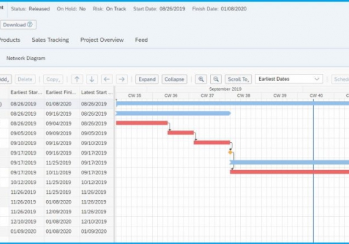 ניהול פרויקטים SAP ByDesign