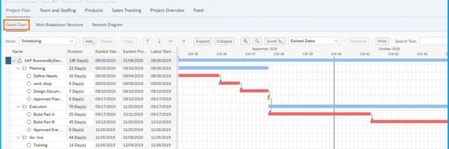 ניהול פרויקטים SAP ByDesign ניהול פרויקטים SAP ByDesign