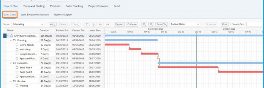 ניהול פרויקטים SAP ByDesign