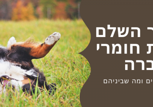איזה חומר הדברה מומלץ לכלב או החתול שלי?