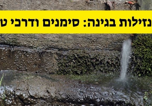 איתור נזילות בגינה: סימנים ודרכי טיפול