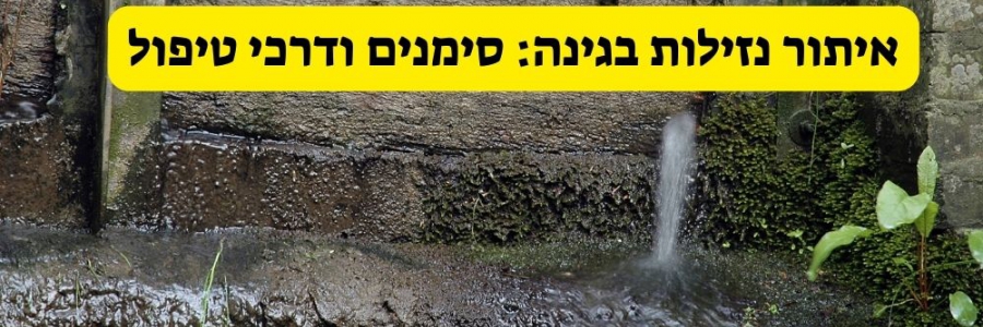 איתור נזילות בגינה: סימנים ודרכי טיפול