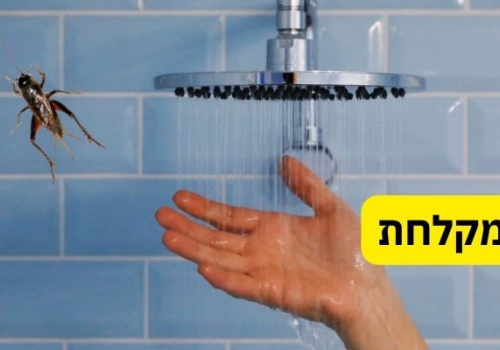 איך להימנע מחרקים במקלחת?