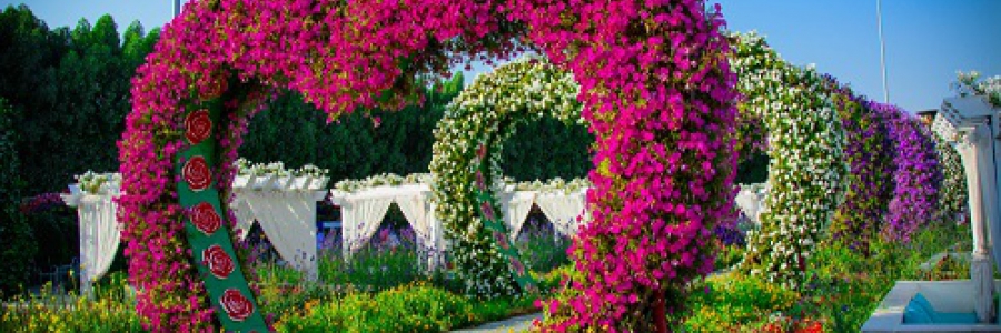 פארק פרחים בעולם