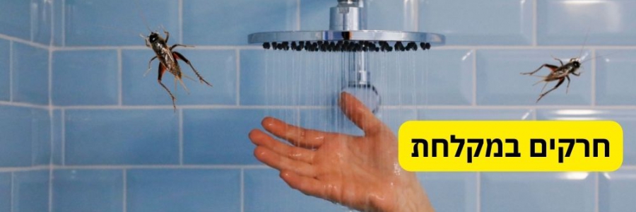 איך להימנע מחרקים במקלחת? איך להימנע מחרקים במקלחת?