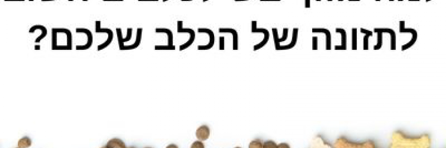 למה מזון יבש לכלבים חשוב לתזונה של הכלב שלכם?