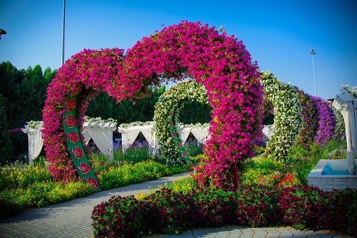 פארק הפרחים בדובאי