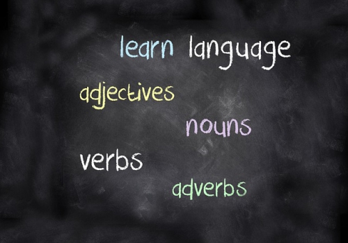 לימודי שפות – האם עדיף קורסים קצרים או ארוכים?